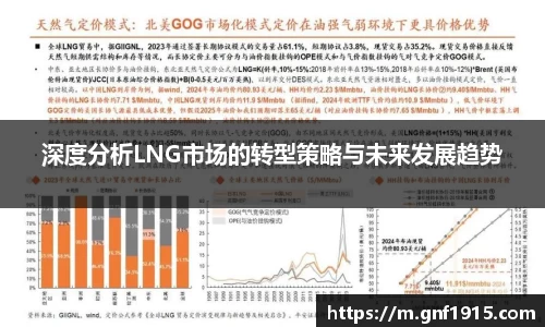 深度分析LNG市场的转型策略与未来发展趋势