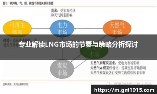 专业解读LNG市场的节奏与策略分析探讨
