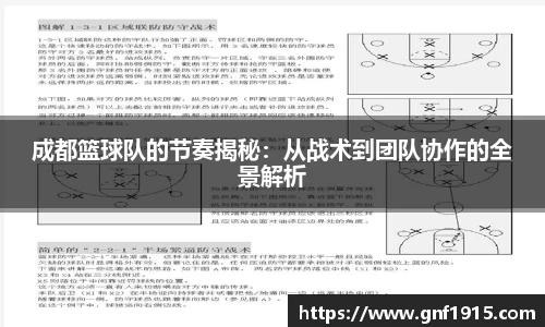 成都篮球队的节奏揭秘：从战术到团队协作的全景解析