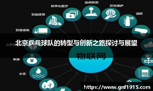 北京乒乓球队的转型与创新之路探讨与展望